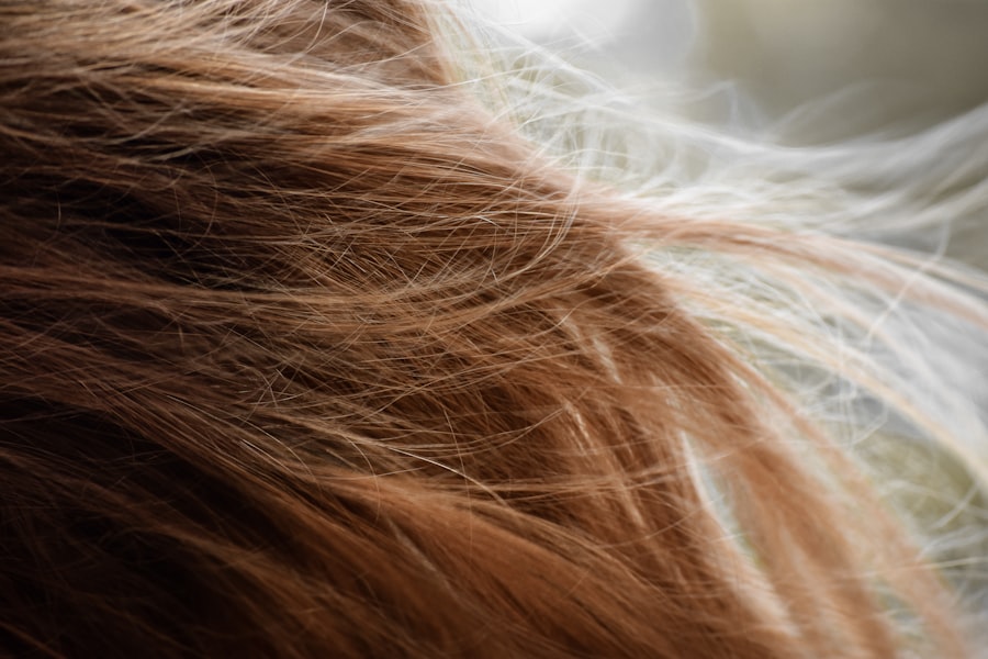 Photo Hair Regrowth